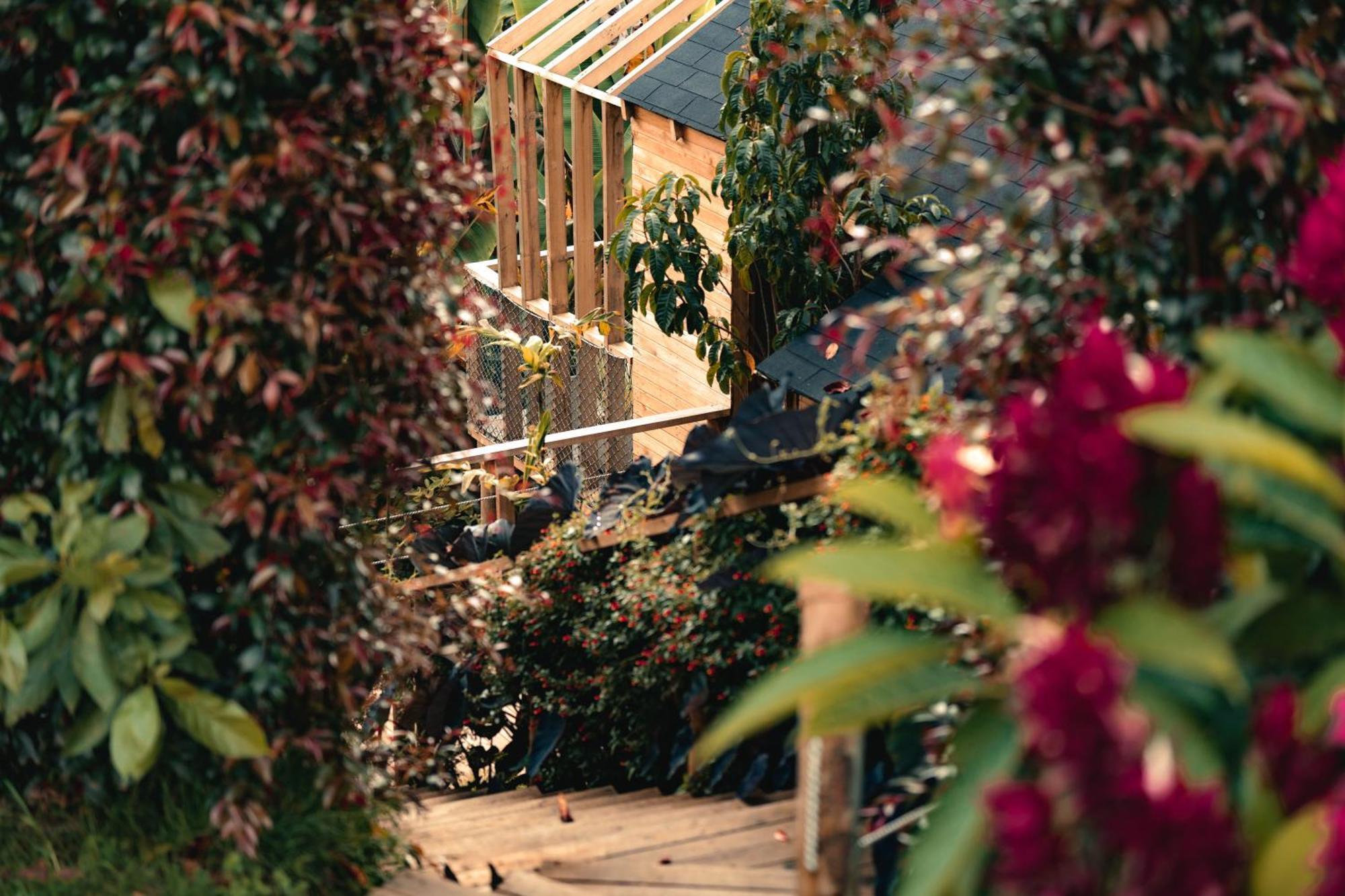 Teva Glamping & Retreat Hotel ริโอเนโกร ภายนอก รูปภาพ
